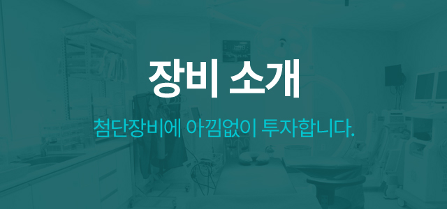 visual